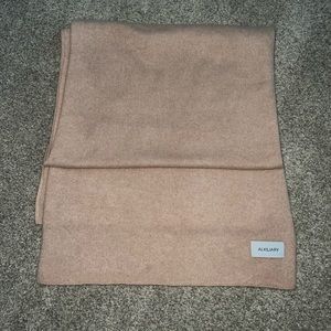 Tan Cashmere Aritzia scarf